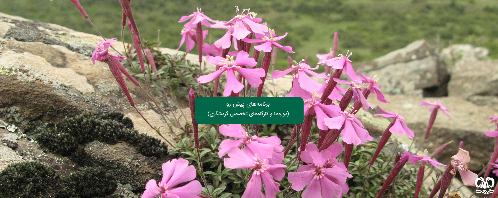 برنامه‌های پیش رو